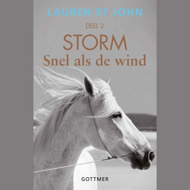 Snel als de wind – omslag van het luisterboek van Lauren St. John