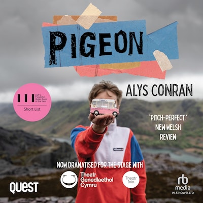 Pigeon