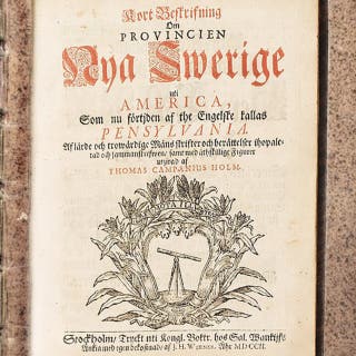 Nya Sverige