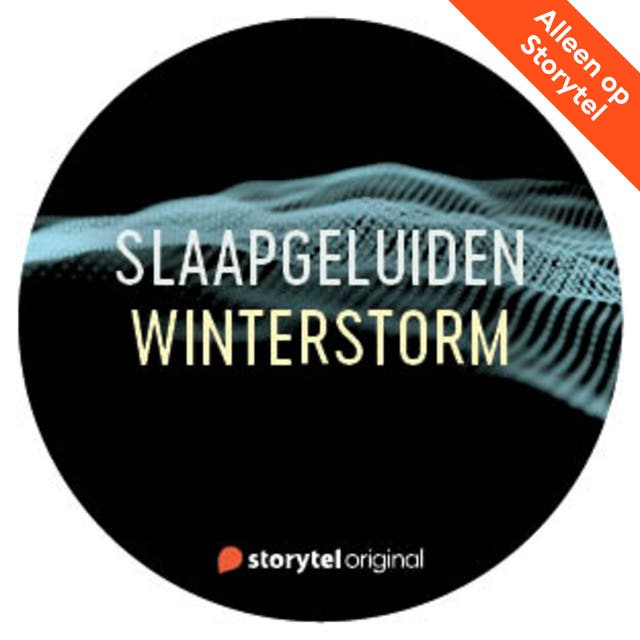 Slaapgeluiden: Winterstorm