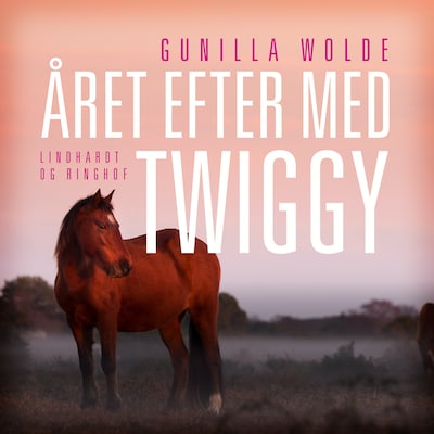 Året efter med Twiggy – omslag til lydbogen af Gunilla Wolde