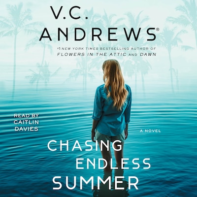 Chasing Endless Summer