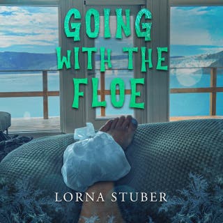 Going with the Floe: Sights, Scares , and Silliness in Iceland and Greenland – omslag till ljudboken av Lorna Stuber
