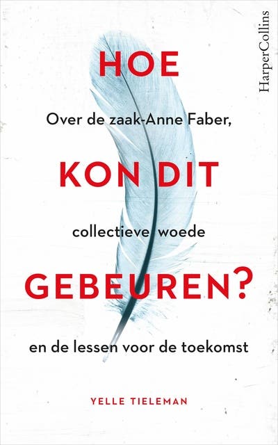 Hoe kon dit gebeuren?: Over de zaak Anne Faber, collectieve woede en de lessen voor de toekomst