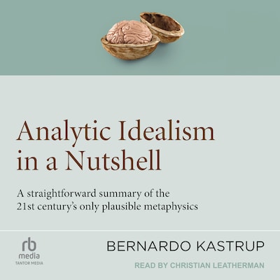 Analytic Idealism in a Nutshell – omslag til lydbogen af Bernardo Kastrup