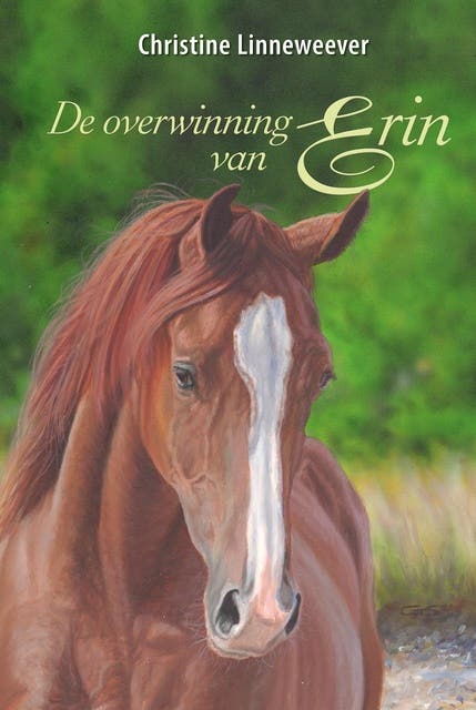 De overwinning van Erin – omslag van het luisterboek van Christine Linneweever