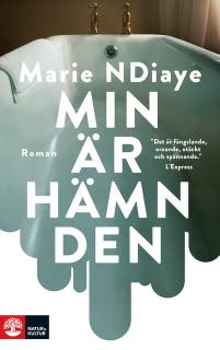 Min är hämnden – omslag till ljudboken av Marie NDiaye