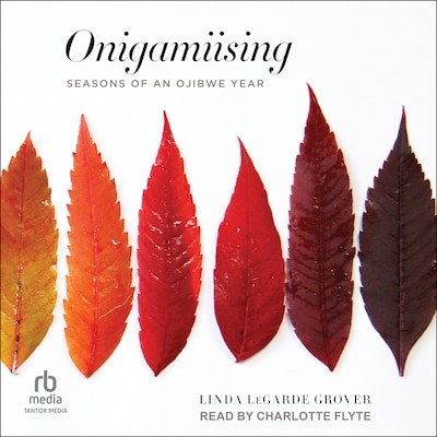 Onigamiising – omslag til lydbogen af Linda LeGarde Grover