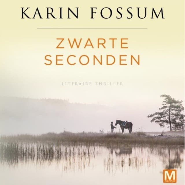 Zwarte seconden: Literaire thriller