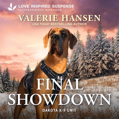 Final Showdown – omslag til lydbogen af Valerie Hansen