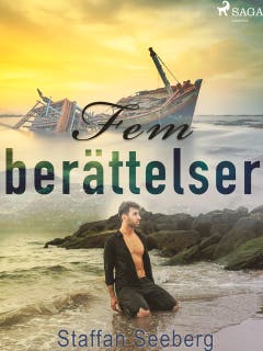 Fem berättelser – omslag till ljudboken av Staffan Seeberg