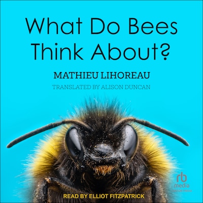 What Do Bees Think About? – omslag til lydbogen af Mathieu Lihoreau