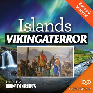 Islands vikingaterror