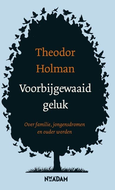 Voorbijgewaaid geluk: over familie, jongensdromen en ouder worden – omslag van het luisterboek van Theodor Holman