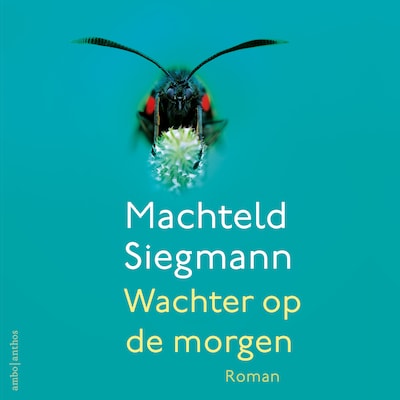 Wachter op de morgen