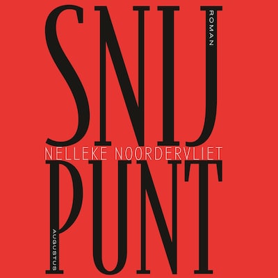 Snijpunt – omslag van het luisterboek van Nelleke Noordervliet
