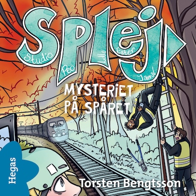 Mysteriet på spåret