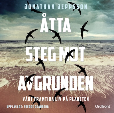 Åtta steg mot avgrunden