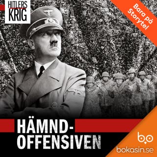 Hämndoffensiven