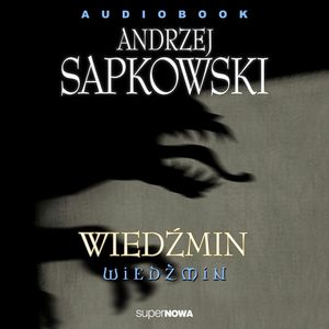 Wiedźmin 1.1 - Wiedźmin – okładka audiobooka, autor Andrzej Sapkowski