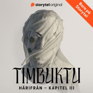 Härifrån – Kapitel 3. Stockholm 2013