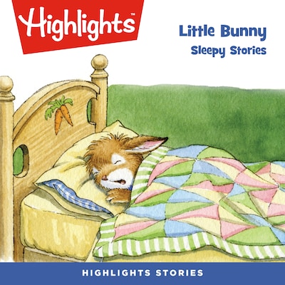 Little Bunny: Sleepy Stories