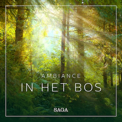 Ambiance – In het Bos
