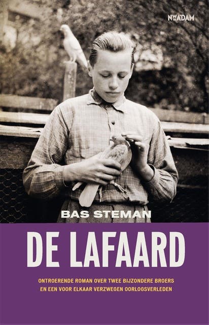 De lafaard: ontroerende roman over twee bijzondere broers en een verzwegen oorlogsverleden