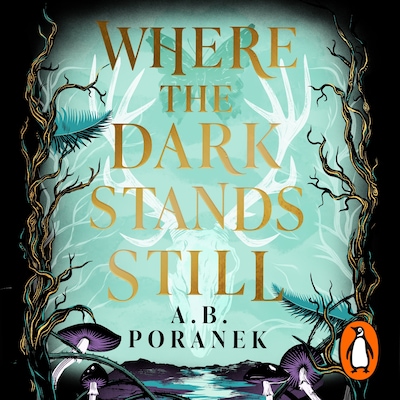 Where the Dark Stands Still – omslag til lydbogen af A. B. Poranek
