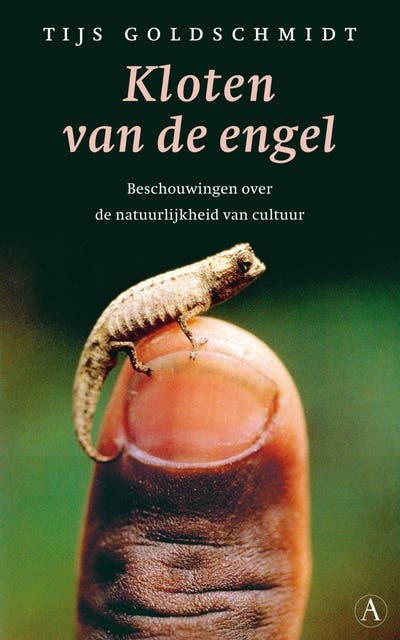 Kloten van de engel: beschouwingen over de natuurlijkheid van cultuur – omslag van het luisterboek van Tijs Goldschmidt