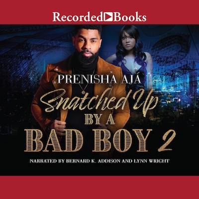 Snatched Up by a Bad Boy 2 – omslag van het luisterboek van Prenisha Aja