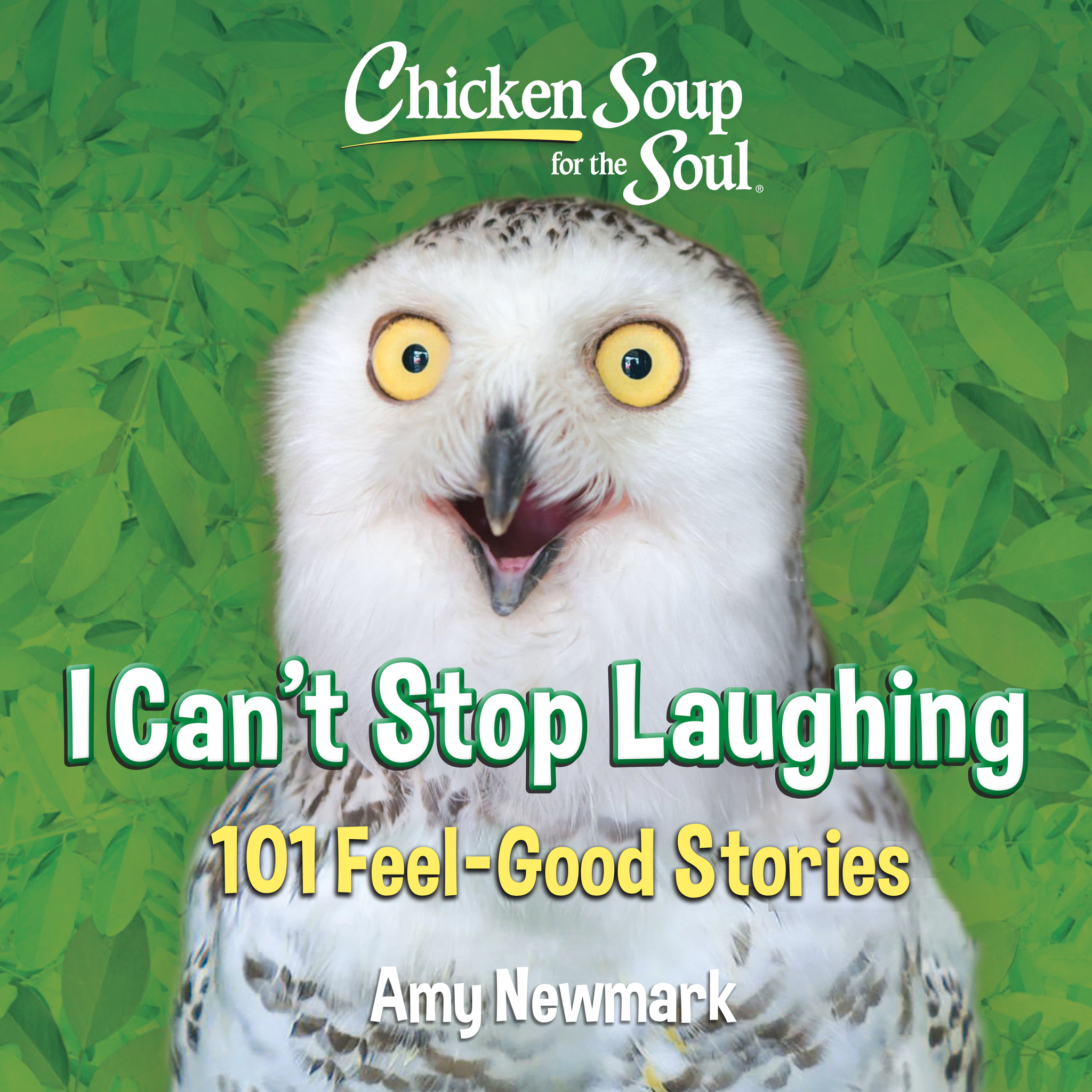 Chicken Soup for the Soul: I Can't Stop Laughing – omslag til lydbogen af Amy Newmark