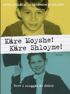 Käre Moyshe! Käre Shloyme! : brev i skuggan av döden – omslag till ljudboken av Mose Apelblat,Salomon Schulman