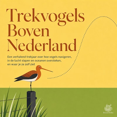 Trekvogels Boven Nederland – omslag van het luisterboek van Het Levende Wereldhuis