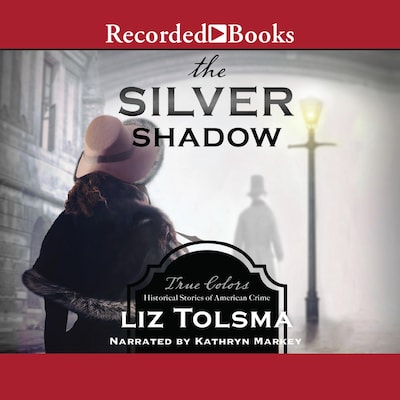 The Silver Shadow – omslag til lydbogen af Liz Tolsma