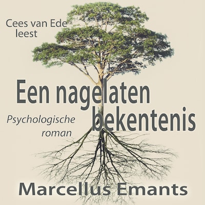Een nagelaten bekentenis