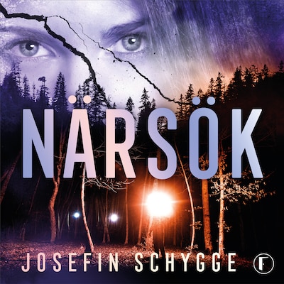 Närsök