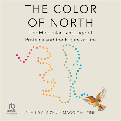 The Color of North – omslag til lydbogen af Shahir S. Rizk, Maggie M. Fink