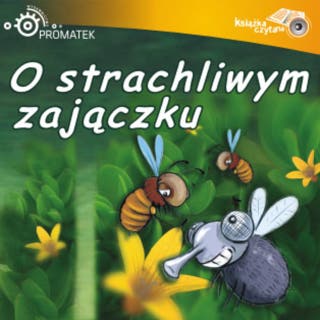 O strachliwym zajączku – okładka audiobooka, autor Ryszard Adam Gruchawka