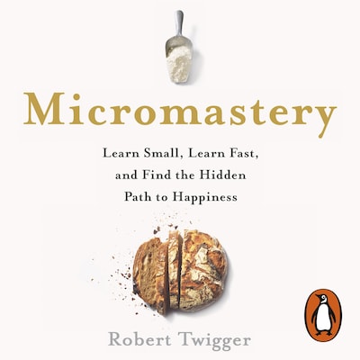 Micromastery – omslag til lydbogen af Robert Twigger