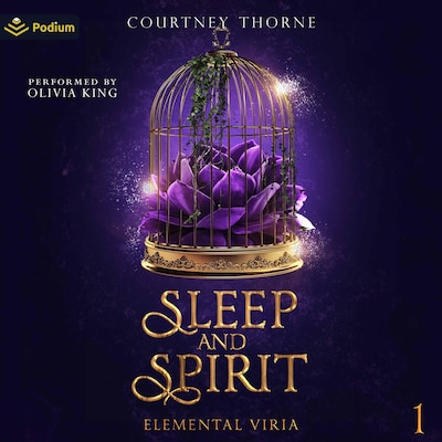 Sleep and Spirit – omslag til lydbogen af Courtney Thorne