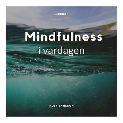 Mindfulness i vardagen - Meditation och medveten närvaro för ett lugnare sinne