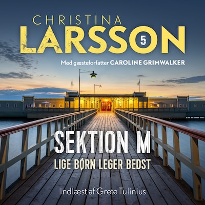 Sektion M - 5 – omslag til lydbogen af Christina Larsson, Caroline Grimwalker