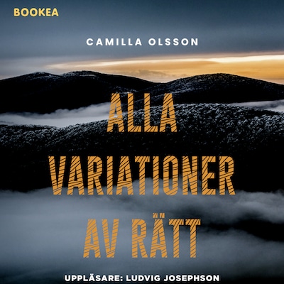 Alla variationer av rätt