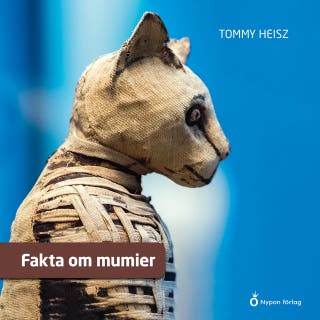 Fakta om mumier