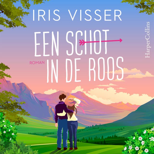 Een schot in de roos