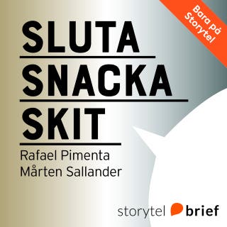 Sluta snacka skit