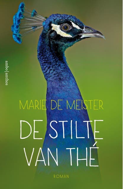 De stilte van Thé – omslag van het luisterboek van Marie de Meister