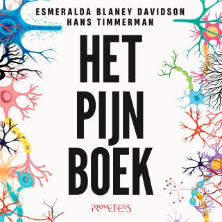 Het Pijn Boek: De wetenschap achter het gevoel dat iedereen kent maar niemand begrijpt – omslag van het luisterboek van Esmeralda Blaney Davidson, Hans Timmerman