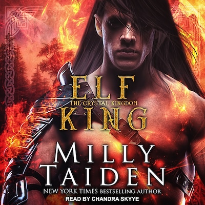 Elf King – omslag til lydbogen af Milly Taiden